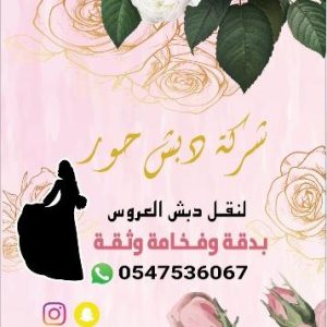 سيارة نقل دبش العروس مكة